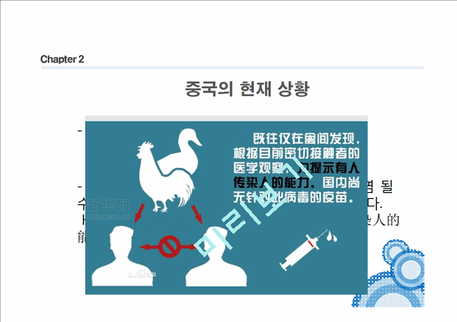 중국발 H7N9(신종 조류독감)   (7 )